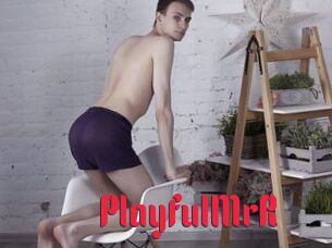 PlayfulMrR
