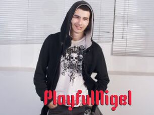 PlayfulNigel