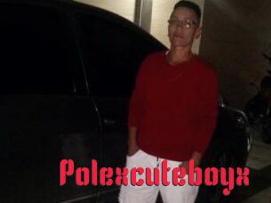 Polexcuteboyx
