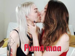 Puma_maa