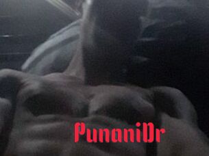 PunaniDr