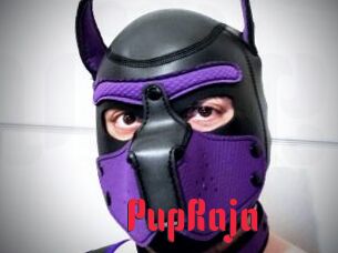 PupRaja