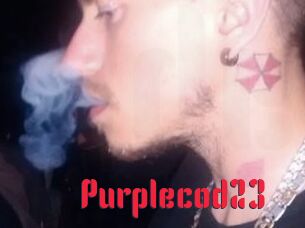 Purplecod23