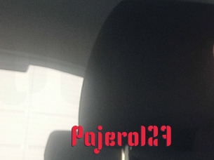 Pajero127