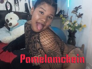 Pamelamckein