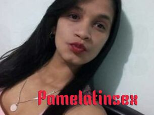 pamelatinsex Video Extrait