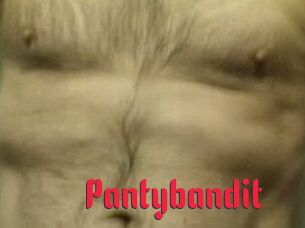 Pantybandit