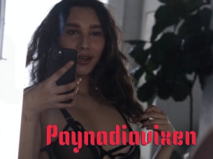 Paynadiavixen