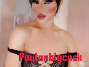 Paytonbigcock