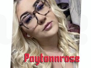 Paytonnrose
