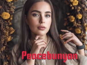 Peacebunyan