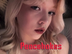 peacehakes Video Extrait