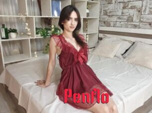 Penflo
