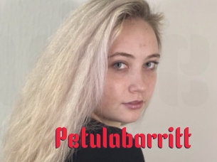 Petulabarritt