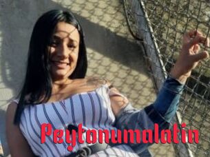 Peytonumalatin
