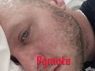 Pgmate