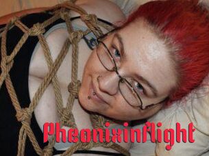 Pheonixinflight