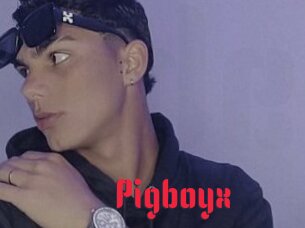 Pigboyx
