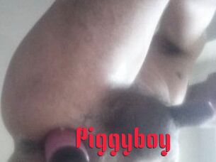 Piggyboy