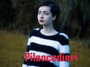 Pileacadieri