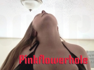 Pinkflowerhole
