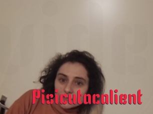 Pisicutacalient