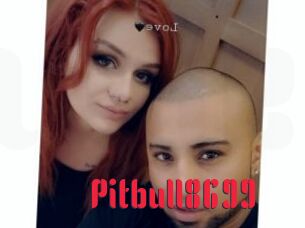 Pitbull8699