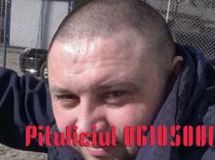 Pituliciul-06105006