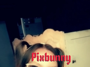 pixbunny Video Extrait