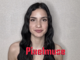Pixelmuse