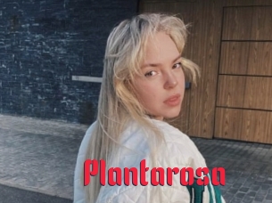 Plantarosa