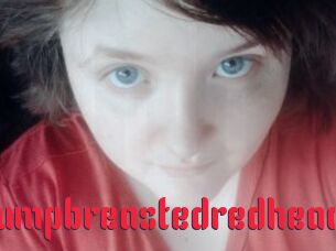 Plumpbreastedredhead