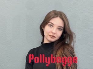 Pollybagge
