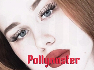 Pollynaster