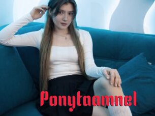 Ponytaamnel