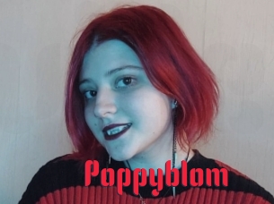 Poppyblom