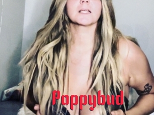 Poppybud