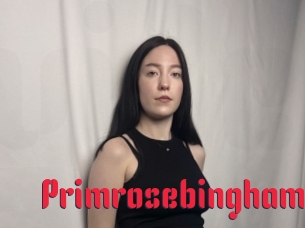 Primrosebingham