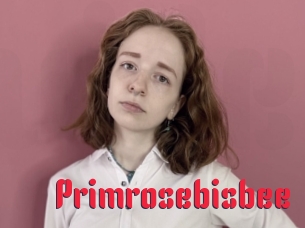 primrosebisbee Video Extrait