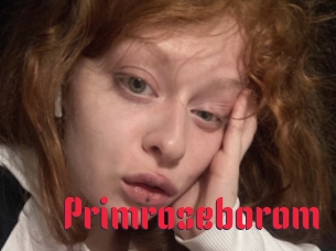 Primroseborom