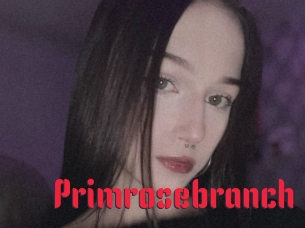 Primrosebranch
