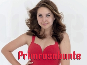 Primrosebunte