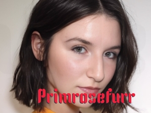 Primrosefurr