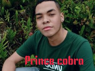 prince_cobra Video Extrait