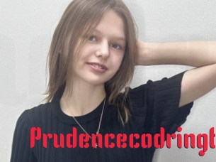 Prudencecodringt
