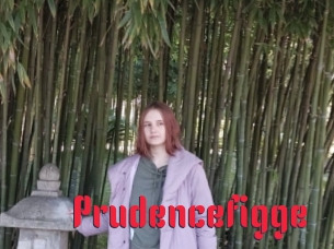 Prudencefigge