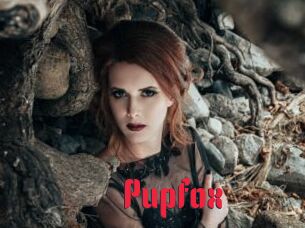 pupfox Video Extrait