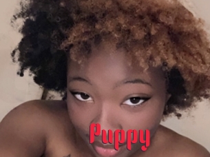 Puppy