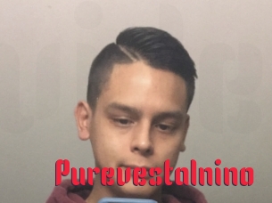 Purevestalnino