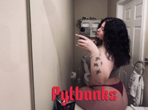 Pytbanks